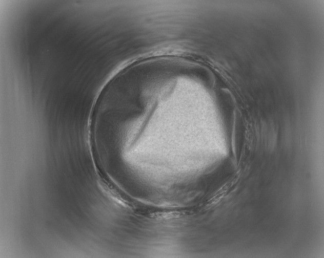 X0000070190100200606091543