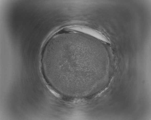 X0000070190101200606091543