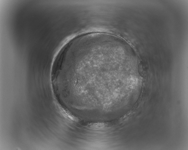 X0000070190104200606091543