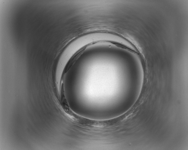 X0000070190105200606091543