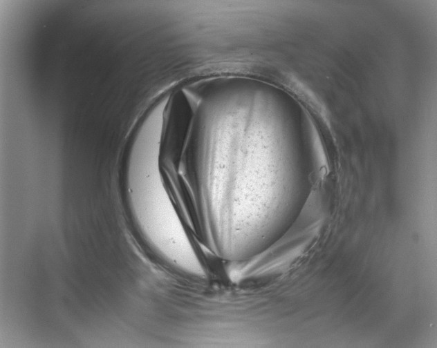 X0000070190107200606091543