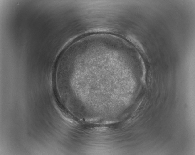 X0000070190108200606091543