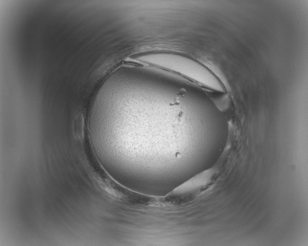 X0000070190109200606091543