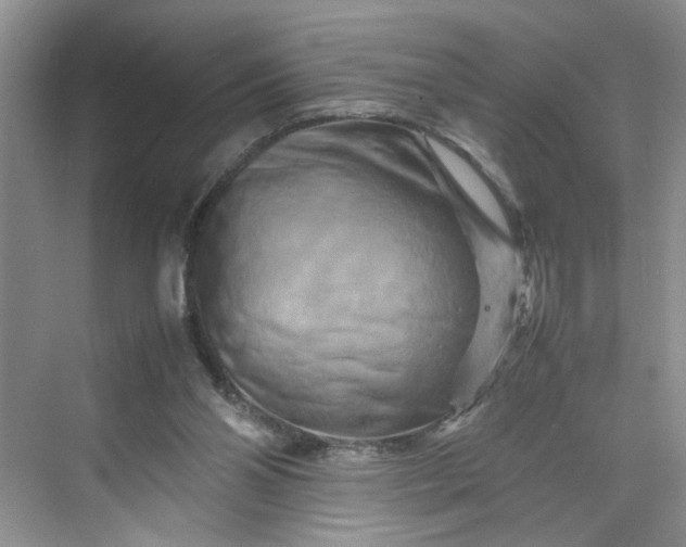 X0000070190110200606091543