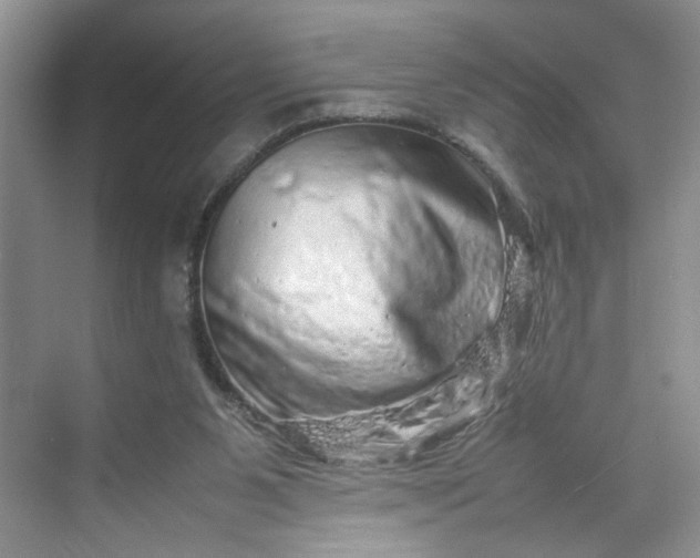 X0000070190111200606091543