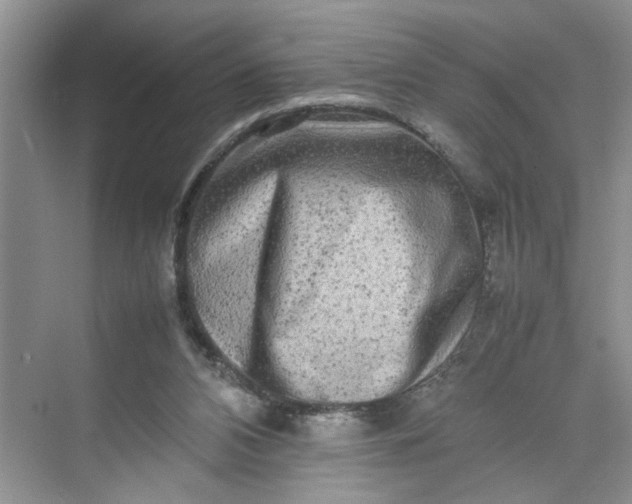 X0000070190112200606091543