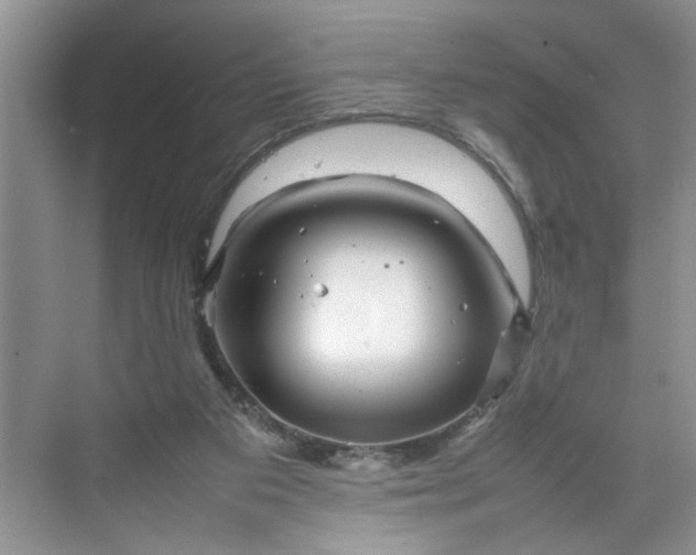 X0000070190113200606091543