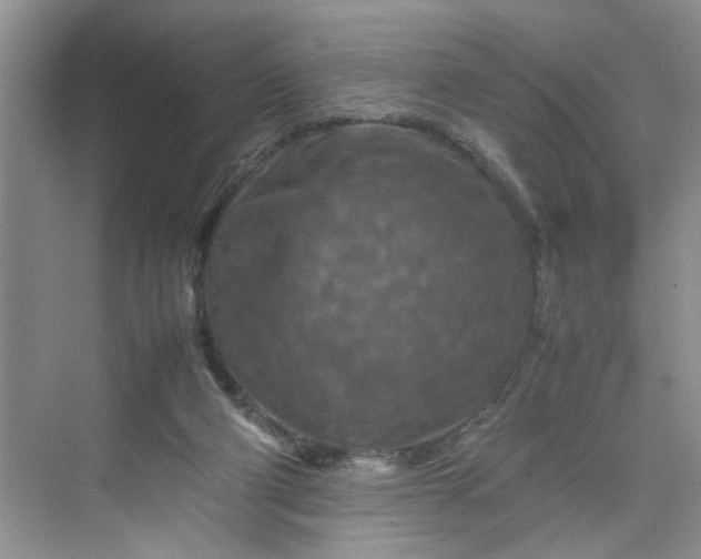 X0000070190114200606091543