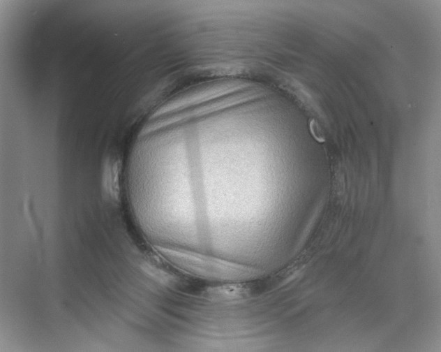 X0000070190118200606091542