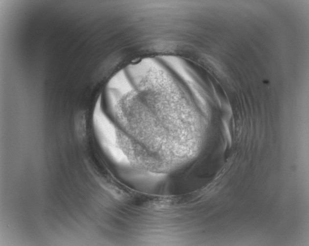 X0000070190120200606091542