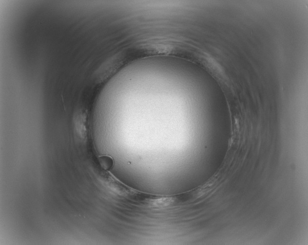 X0000070190122200606091542