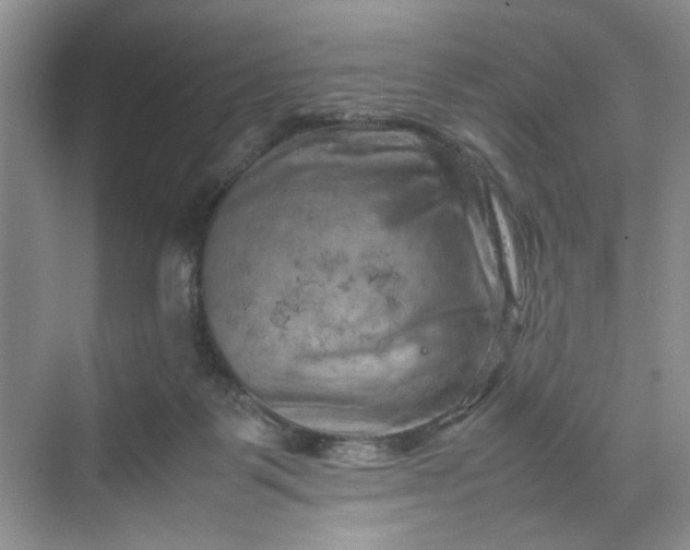 X0000070190123200606091542