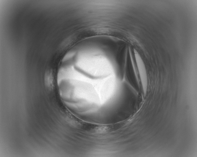 X0000070190124200606091542