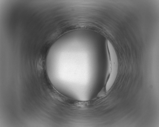 X0000070190126200606091542