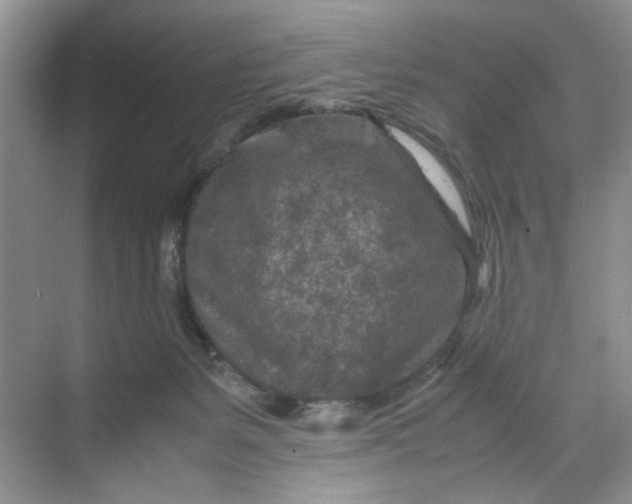 X0000070190127200606091542