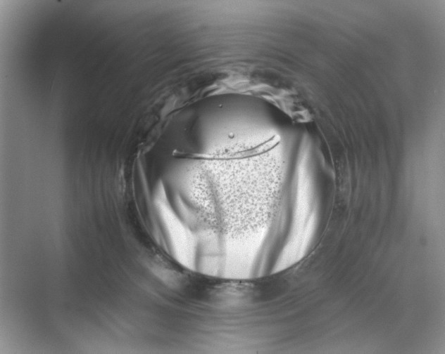 X0000070190128200606091542