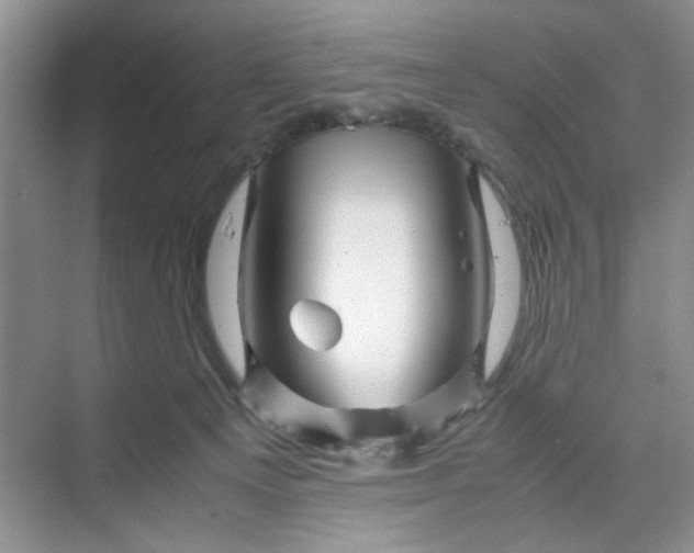 X0000070190129200606091542