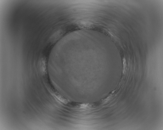 X0000070190130200606091542