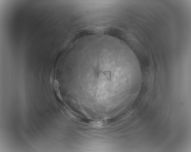 X0000070190131200606091542