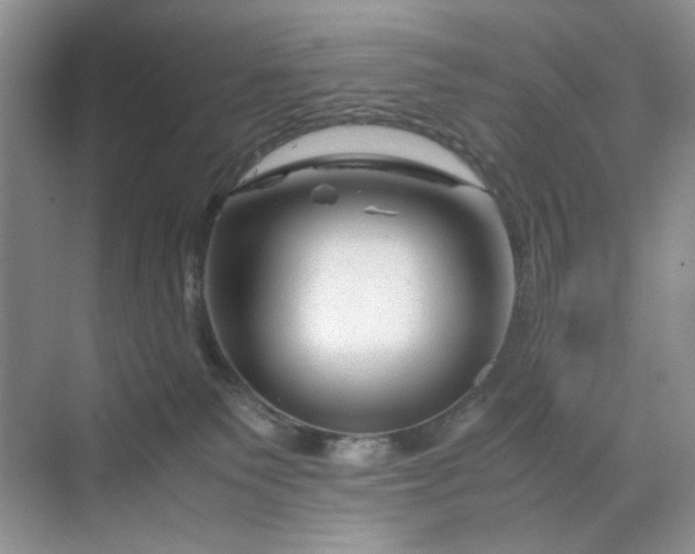 X0000070190135200606091542