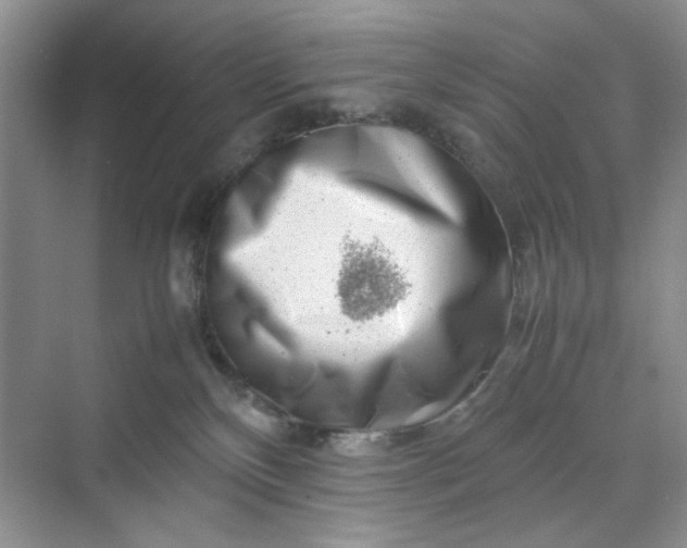 X0000070190136200606091542