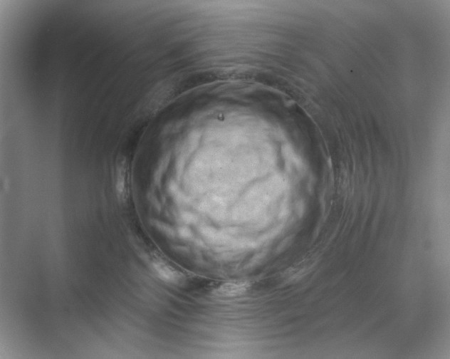 X0000070190138200606091542