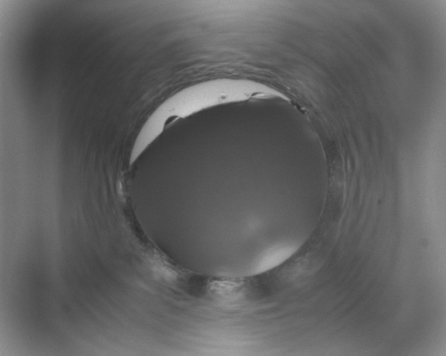 X0000070190139200606091542