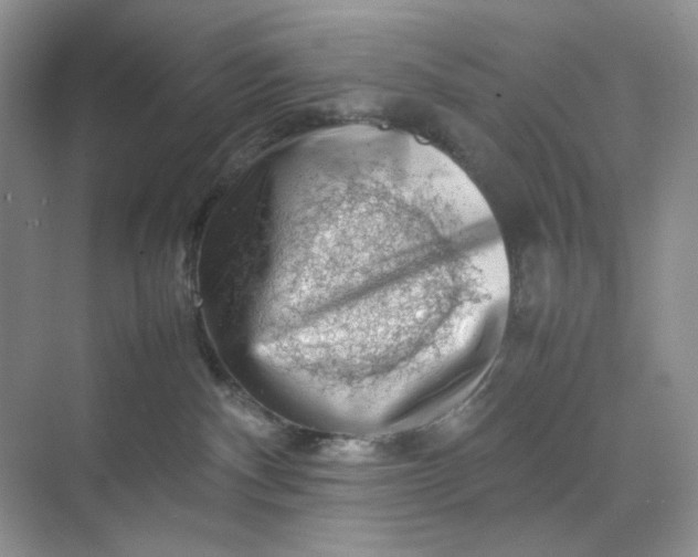 X0000070190140200606091542