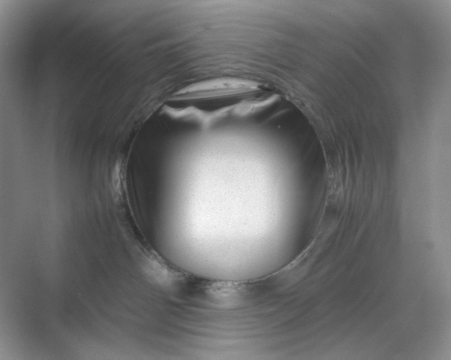 X0000070190142200606091542