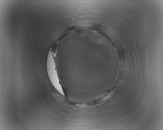 X0000070190143200606091542