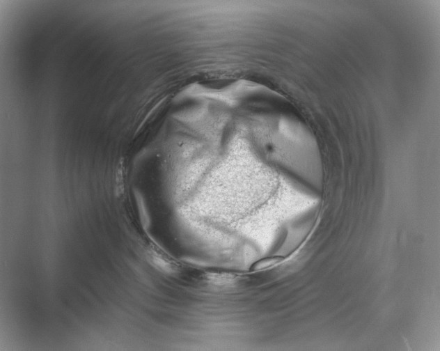 X0000070190144200606091542