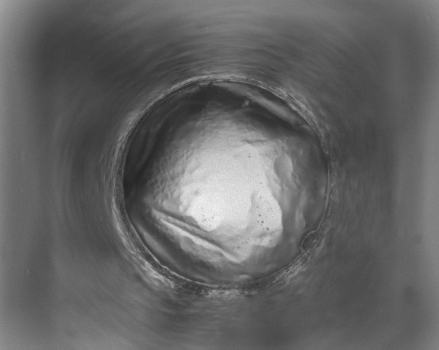 X0000070190145200606091541