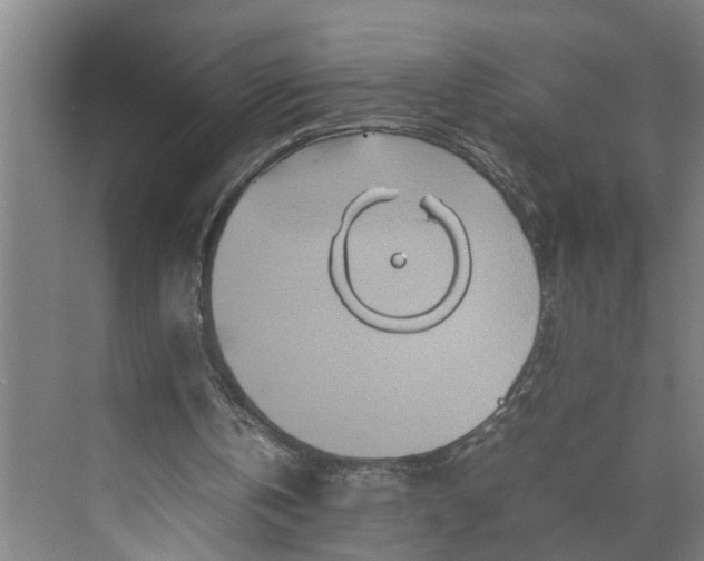 X0000070190146200606091541