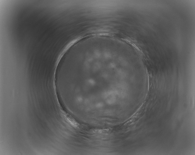 X0000070190147200606091541