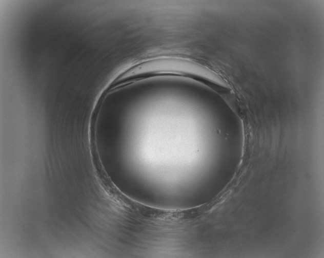 X0000070190148200606091541