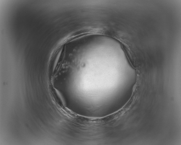 X0000070190149200606091541