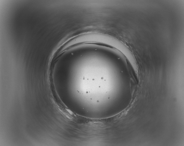 X0000070190150200606091541