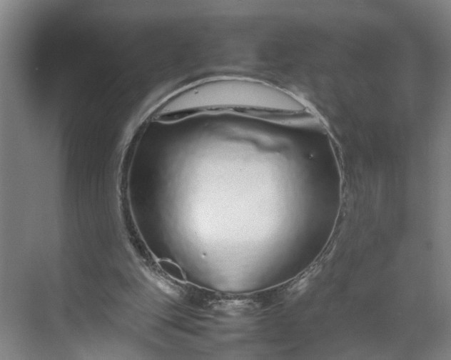 X0000070190151200606091541