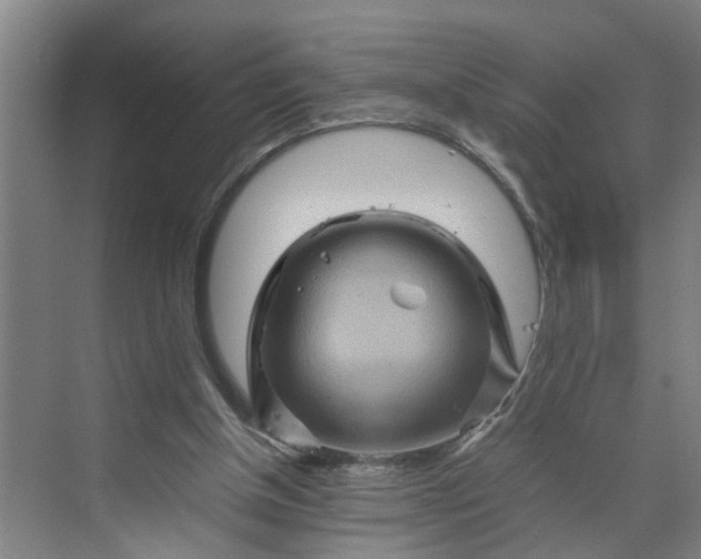 X0000070190154200606091541