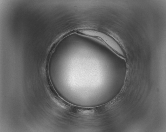 X0000070190155200606091541