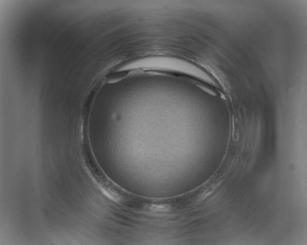 X0000070190157200606091541