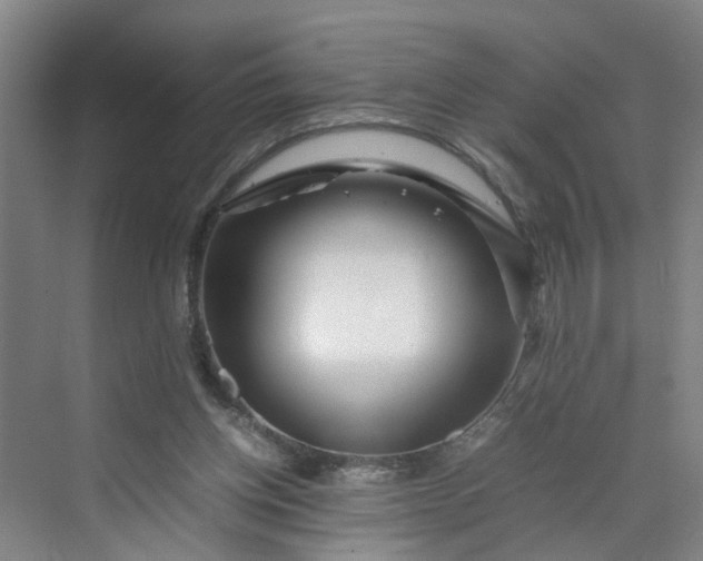 X0000070190158200606091541