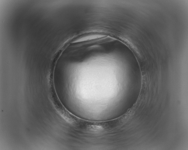 X0000070190159200606091541