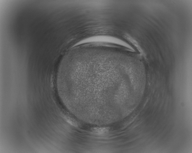 X0000070190161200606091542