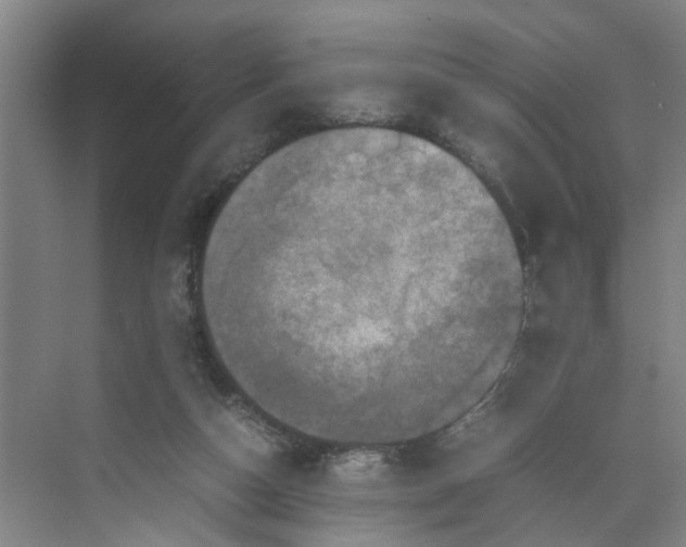 X0000070190162200606091542