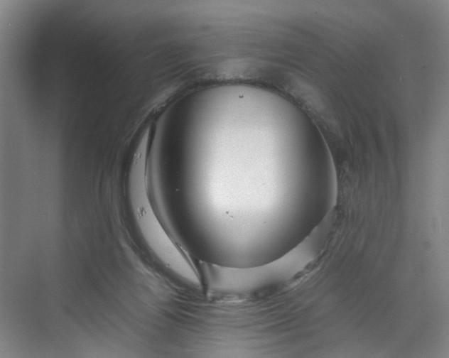 X0000070190164200606091542