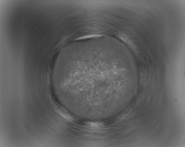 X0000070190165200606091542