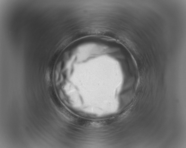 X0000070190166200606091542