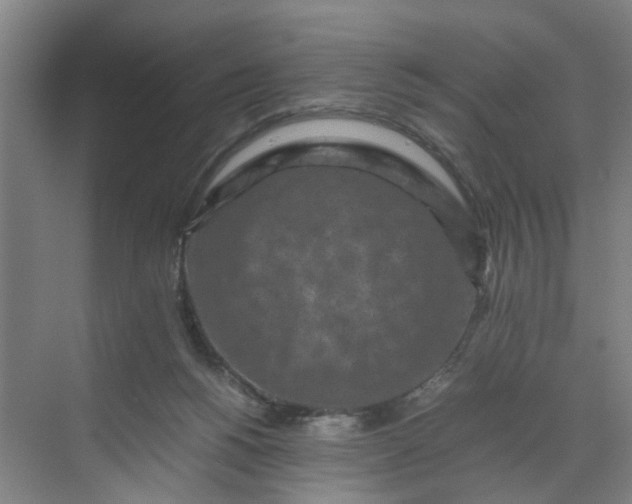 X0000070190168200606091542