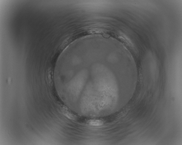 X0000070190169200606091542